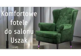 Komfortowe fotele do salonu Uszak