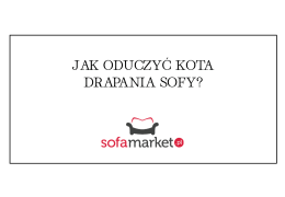 Jak oduczyć kota drapania sofy?