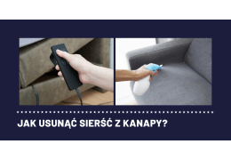 Jak usunąć sierść z kanapy?