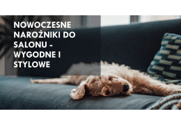 Nowoczesne narożniki do salonu - wygodne i stylowe narożniki nowoczesne